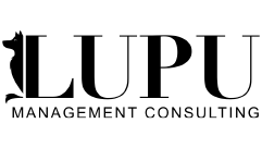 Lupu Management Consulting 